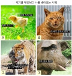 아 이거 왤케 귀엽지 시기별 부모님이 나를 바라보는 시점 ㅋㅋㅋㅋㅋㅋㅋㅋㅋㅋㅋㅋ - 인스티즈(instiz) 일상 카테고리