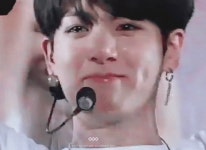 와 복숭아 물러터졋다ㅠㅠ (방탄정국 - 인스티즈(instiz) 연예 카테고리 와 복숭아 물러터졋다ㅠㅠ (방탄정국