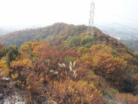 165에 65는 통통이야..? - 인스티즈(instiz) 익명잡담 165에 65는 통통이야..?