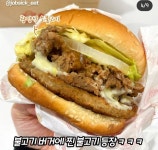 롯데리아 신메뉴 개맛있겠다.. - 인스티즈(instiz) 일상 카테고리