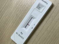 이 정도도 양성이지? - 인스티즈(instiz) 익명잡담 이 정도도 양성이지?