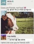 소는 음식이 아닙니다 - 인스티즈(instiz) 이슈 카테고리