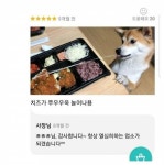 치즈가 쭈우우욱 늘어나용 - 인스티즈(instiz) 일상 카테고리 치즈가 쭈우우욱 늘어나용