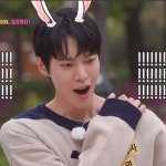 집사부일체 도영 나올 때 갑자기 동물농장 됨ㅋㅋㅋㅋㅋㅋㅋㅋㅋㅋㅋㅋㅋ - 인스티즈(instiz) 연예 카테고리 집사부일체 도영 나올 때 갑자기... 