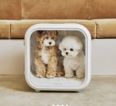 이거 중 한개라도 쓸꺼면 그냥 강아지 키우지마라..좀 - 인스티즈(instiz) 일상 카테고리