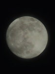 익들아 달 봤니 지금??!!! - 인스티즈(instiz) 일상 카테고리 익들아 달 봤니 지금??!!!