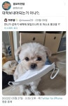 얘 학교 보내야 할듯 ㅠㅠㅠㅠ - 인스티즈(instiz) 일상 카테고리