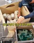 성남 모란시장에서 일어난 일 입니다 - 인스티즈(instiz) 이슈 카테고리 성남 모란시장에서 일어난 일 입니다