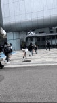yg 연습생 사진 떴는데... - 인스티즈(instiz) 연예 카테고리 yg 연습생 사진 떴는데...