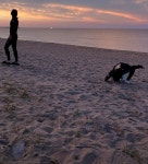 [잡담] 요섭아...? 뭐해??? - 인스티즈(instiz) 연예 카테고리