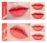 가을 소프트인데 립 둘 중에 뭐살까..?? - 인스티즈(instiz) 뷰티 카테고리 가을 소프트인데 립 둘 중에 뭐살까..??