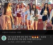 롯데 월드 홍대 강남역 몰카범 댕 많음 - 인스티즈(instiz) 일상 카테고리
