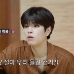 스키즈 승민 뭐 닮은거 같은데 뭐 닮았는지를 모르겠다 - 인스티즈(instiz) 연예 카테고리 스키즈 승민 뭐 닮은거 같은데 뭐 닮았는지를 모르겠다