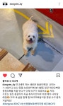 [잡담] 댕글이 사이즈랑 신상 안 알려준대ㅜㅠ - 인스티즈(instiz) 연예 카테고리