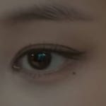 이 눈은 인아웃이야 세미아웃이야?? - 인스티즈(instiz) 일상 카테고리