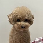 울 멈머 코 촉촉한거봐ㅋㅋㅋㅋㅋㅋㅋ - 인스티즈(instiz) 일상 카테고리 울 멈머 코 촉촉한거봐ㅋㅋㅋㅋㅋㅋㅋ