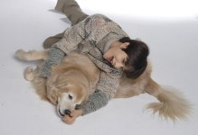 [잡담] 지금 강아지가 김정우 놀아주는데요 - 인스티즈(instiz) 연예 카테고리