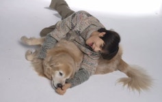 [잡담] 정우는 진짜 레전드 강아지다 - 인스티즈(instiz) 연예 카테고리