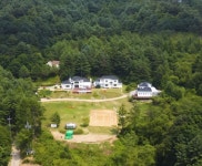 [잡담] 방탄 인더숲 스케일 진짜..하이브의 돈ziral을 볼 수 있음 - 인스티즈(instiz) 연예 카테고리 방탄 인더숲 스케일 진짜..하이브의... 