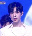 조심스레 .. 차이진신 영업글 - 인스티즈(instiz) 연예 카테고리 조심스레 .. 차이진신 영업글