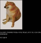 모두가 인정하는 롯데리아 장점이래 개웃겨 - 인스티즈(instiz) 일상 카테고리 모두가 인정하는 롯데리아 장점이래 개웃겨