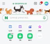 오늘 국제 강아지의 날이네 - 인스티즈(instiz) 익명잡담 카테고리 오늘 국제 강아지의 날이네