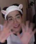[잡담] 미친 세상아... 강아지가 세안 밴드를 해요 - 인스티즈(instiz) 연예 카테고리