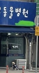 어떤 강아지 동물뱡원 가기싫어서 뻐팅기는중 - 인스티즈(instiz) 일상 카테고리 어떤 강아지 동물뱡원 가기싫어서 뻐팅기는중