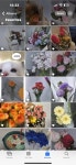 일년반동안 받은 꽃들 ,, 🌷 - 인스티즈(instiz) 익명잡담 카테고리 일년반동안 받은 꽃들 ,, 🌷