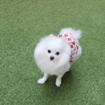 공주 새 옷 입고 자랑하는 글🌷 - 인스티즈(instiz) 익명잡담 카테고리 공주 새 옷 입고 자랑하는 글🌷