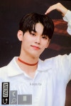 [잡담] 이정현 탑시드 사진떴다 - 인스티즈(instiz) 연예 카테고리