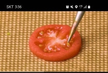 클레이 아트 보는데 미쳨ㅅ다... - 인스티즈(instiz) 익명잡담 카테고리 클레이 아트 보는데 미쳨ㅅ다...