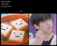 대장 왜 요즘은 두부 나라에 오지 않는거야? - 인스티즈(instiz) 연예 카테고리 대장 왜 요즘은 두부 나라에 오지 않는거야?