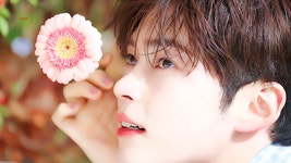 [잡담] 성한빈 눈이 되게 힘있고 맑아서 에너지좋고 장점이듯 - 인스티즈(instiz) 연예 카테고리