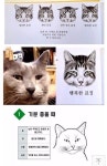 [잡담] 인포에서 본 고양이가 행복할때 (조승연 화난거 아님) - 인스티즈(instiz) 연예 카테고리