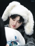 주식회사 위진스 | 우진스의 하입보이요 - 인스티즈(instiz) 연예 카테고리 우진스의 하입보이요