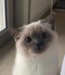 [잡담] 김지웅 생각하면서 들어와봐 - 인스티즈(instiz) (K)POP/예능 카테고리 [잡담] 김지웅 생각하면서 들어와봐