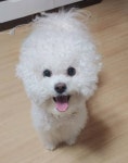 와 오늘 울 멍이 생일🩷🩷 - 인스티즈(instiz) 일상 카테고리 와 오늘 울 멍이 생일🩷🩷