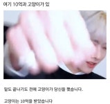 여기 10억과 고양이가 있 - 인스티즈(instiz) 연예 카테고리 여기 10억과 고양이가 있