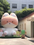 [잡담] SM 팝업 신내림 받았나 (ㅈㅇ 터래기 - 인스티즈(instiz) 연예 카테고리