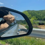 오늘 드라이브 했는데 - 인스티즈(instiz) 익명잡담 카테고리 오늘 드라이브 했는데