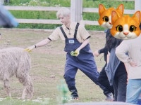 아 리키 겁나 귀엽네 - 인스티즈(instiz) 연예 카테고리 아 리키 겁나 귀엽네