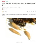오늘의유머 - “의식 없는 84세 父 입안에 구더기가”…요양병원서 무슨 일 “의식 없는 84세 父 입안에 구더기가”…요양병원서 무슨 일
