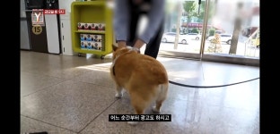 내일 9시 궁금한이야기Y 예고 : 백호의 착한 누나 그녀가 감추고 있는 진실은 - 인스티즈(instiz) 이슈 카테고리 내일 9시 궁금한이야기Y 예고... 