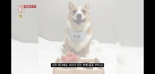 내일 9시 궁금한이야기Y 예고 : 백호의 착한 누나 그녀가 감추고 있는 진실은 - 인스티즈(instiz) 이슈 카테고리 내일 9시 궁금한이야기Y 예고... 