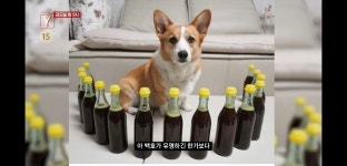 내일 9시 궁금한이야기Y 예고 : 백호의 착한 누나 그녀가 감추고 있는 진실은 - 인스티즈(instiz) 이슈 카테고리 내일 9시 궁금한이야기Y 예고... 