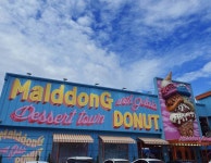 파주 말똥 도넛 카페 후기 쪄옴🍩🍦💘 - 인스티즈(instiz) 일상 카테고리 파주 말똥 도넛 카페 후기 쪄옴🍩🍦💘