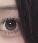 하파크리스틴 렌즈랑 비슷한가? - 인스티즈(instiz) 일상 카테고리 하파크리스틴 렌즈랑 비슷한가?