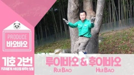 ❤️쌍둥바오들의 이름을 골라주세요❤️ - 인스티즈(instiz) 일상 카테고리 ❤️쌍둥바오들의 이름을 골라주세요❤️