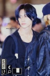 [잡담] 헐 원빈 블루블랙 염색한건가?? - 인스티즈(instiz) 연예 카테고리